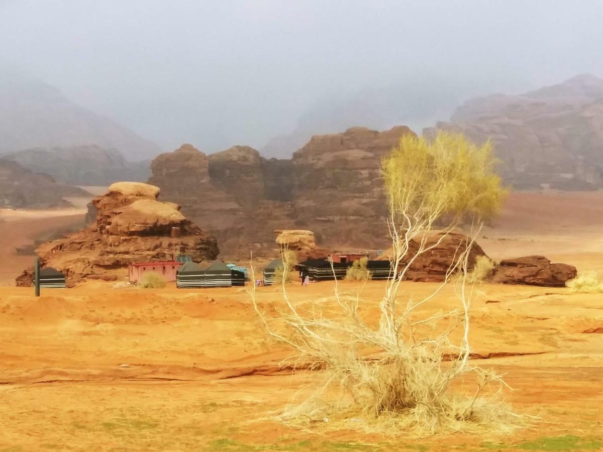 Bedouin Culture Camp ワディ ・ラム エクステリア 写真